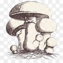 手绘的卡通大蘑菇-空若网 手绘的卡通大蘑菇-空若网