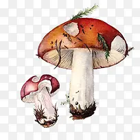 Ë®²ÊÄ¢¹½-¿ÕÈôÍø Ë®²ÊÄ¢¹½-¿ÕÈôÍø