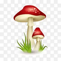 �ɰ���ͨĢ��-������