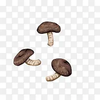 �ֻ�Ģ��-������