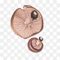 卡通手绘蘑菇-空若网 卡通手绘蘑菇-空若网