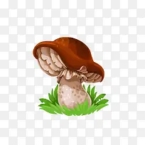 Ģ��-������