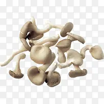 蘑菇-空若网 蘑菇-空若网