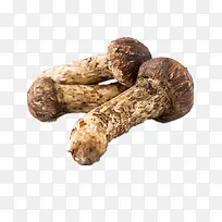 蘑菇-空若网 蘑菇-空若网