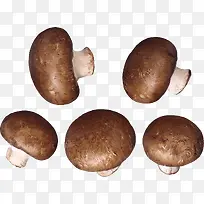 Ä¢¹½-¿ÕÈôÍø Ä¢¹½-¿ÕÈôÍø