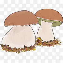 卡通-空若网 卡通-空若网