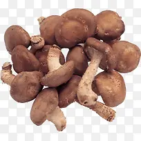 蘑菇-空若网 蘑菇-空若网