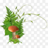 Â̲Ý-¿ÕÈôÍø Â̲Ý-¿ÕÈôÍø