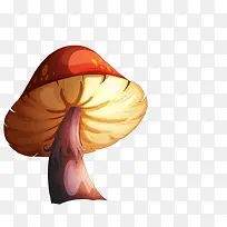手绘蘑菇-空若网 手绘蘑菇-空若网