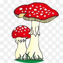 可爱的蘑菇-空若网 可爱的蘑菇-空若网