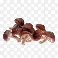 蘑菇-空若网 蘑菇-空若网