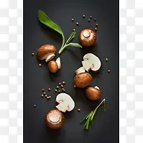 Ģ����ѿ������Ӱ-������