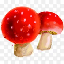 ��ɫˮ��Ģ�����-������