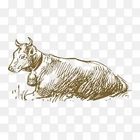 �ֻ�-������