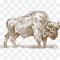 手绘-空若网 手绘-空若网