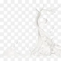 白色牛奶-空若网 白色牛奶-空若网