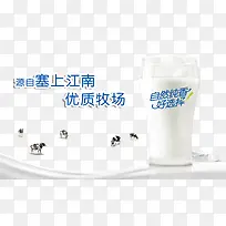 牛奶-空若网 牛奶-空若网