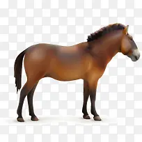 卡通马PNG下载-空若网 卡通马PNG下载-空若网