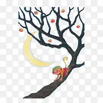 �廭-������