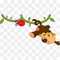 猴子-空若网 猴子-空若网