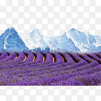 Þ¹Ò²ݺÍѩɽ-¿ÕÈôÍø Þ¹Ò²ݺÍѩɽ-¿ÕÈôÍø