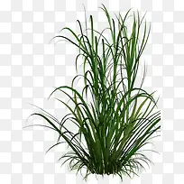 С²Ý-¿ÕÈôÍø С²Ý-¿ÕÈôÍø