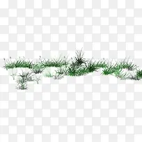 小草-空若网 小草-空若网