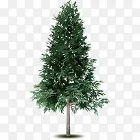 ����-������