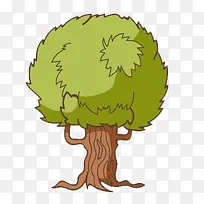 ��ͨ��ľ-������