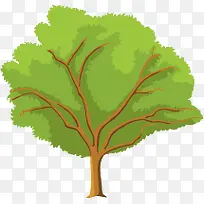 树-空若网 树-空若网