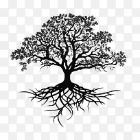 Ê÷-¿ÕÈôÍø Ê÷-¿ÕÈôÍø