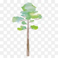 树-空若网 树-空若网