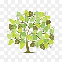 ��ͨ���ز�-������