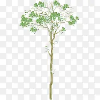 卡通手绘树-空若网 卡通手绘树-空若网