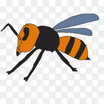 昆虫蜜蜂动物节肢动物麻雀-空若网 昆虫蜜蜂动物节肢动物麻雀-空若网