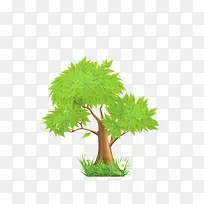 树-空若网 树-空若网