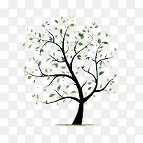 ¿¨Í¨Ê÷-¿ÕÈôÍø ¿¨Í¨Ê÷-¿ÕÈôÍø