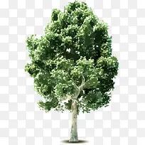 ��ͨ��-������