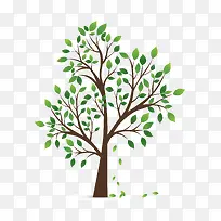 ������ľ-������