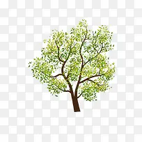 树-空若网 树-空若网