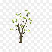 树-空若网 树-空若网