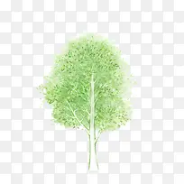 树-空若网 树-空若网