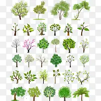 ¿¨Í¨Ê÷-¿ÕÈôÍø ¿¨Í¨Ê÷-¿ÕÈôÍø