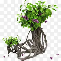 ��ͨ����-������