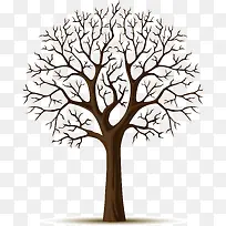 ¿¨Í¨Ê÷-¿ÕÈôÍø ¿¨Í¨Ê÷-¿ÕÈôÍø