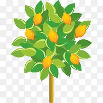 ��ͨ������-������