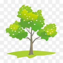 ��ͨС��-������