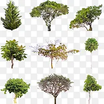 矢量卡通小树-空若网 矢量卡通小树-空若网