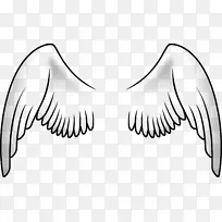 鸟翼鹦鹉夹艺术翅膀-空若网 鸟翼鹦鹉夹艺术翅膀-空若网