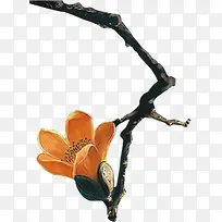 ľÃÞ»¨-¿ÕÈôÍø ľÃÞ»¨-¿ÕÈôÍø